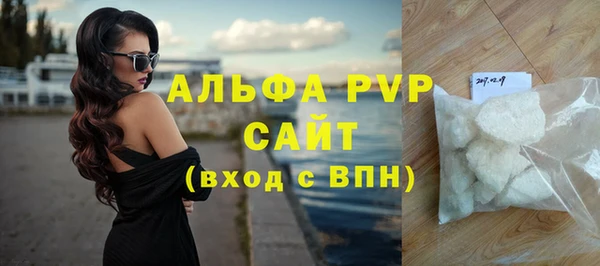 шишки Горняк