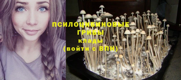 прущая мука Касимов
